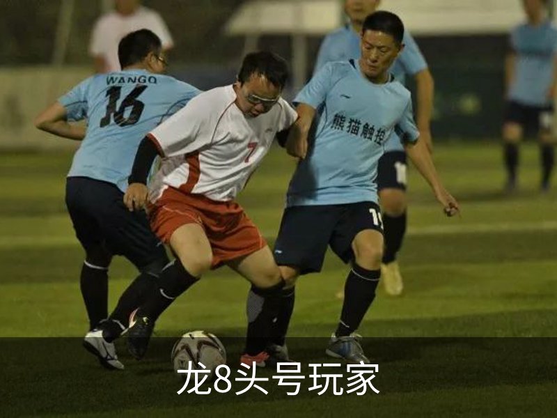 龙8头号玩家概况
